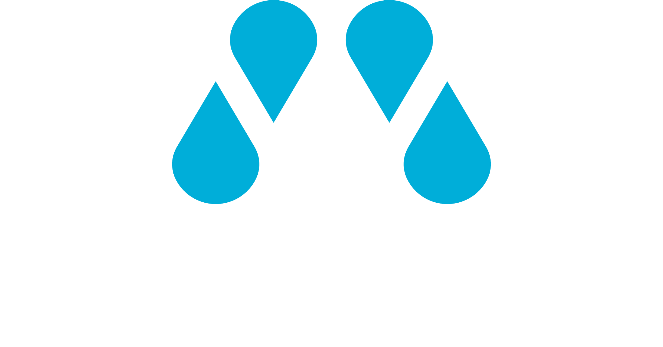 motmot logo